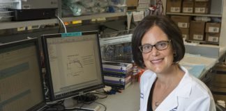 Drug Combination Shows Promise in the Treatment in Malignant Peripheral Nerve Sheath Tumors