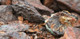 New Study Investigates how Copper Contributes to the Development of Kidney Cancer
