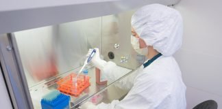 Improving the Immune system’s Cancer-attacking Power