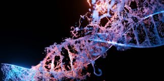 Colorectal Cancer Gene Appears to also Play a Role in the Development of other Solid Tumors