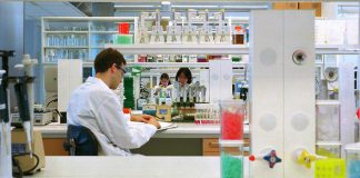 Increased Overall Survival Reported for Combination of Durvalumab plus Chemotherapy