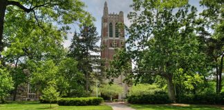 Researchers at Michigan State University Develop Superior Photodynamic Therapy for the Treatment of Metastatic Cancer