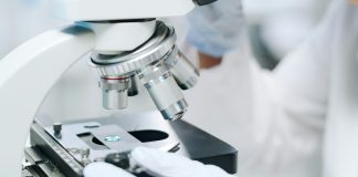 What to Expect at AACR 2025: Research Findings from The Ohio State University