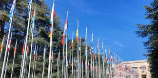 WHO Report: Health Inequities are Shortening Lives by Decades