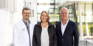 New Precursors of HPV-associated and HPV-independent Cervical Cancer Described for the First Time