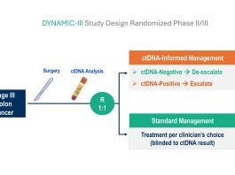 ESMO 2025: A ctDNA-guided Approach to Helps Personalize Adjuvant Chemotherapy Colon Cancer