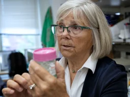 NIH Grant Disruptions Slow Down Breast Cancer Research