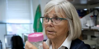 NIH Grant Disruptions Slow Down Breast Cancer Research