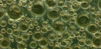 The Invisible Bubbles that Spread Cancer Could also Help Stop it
