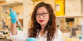 Researchers Develop Novel Treatment Option for Triple Negative Breast Cancer