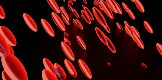 New Drug Application Approved for Rusfertide for Adults with Polycythemia Vera