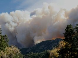 Wildfire Smoke Exposure Linked to Increased Cancer Risk, New Study Finds