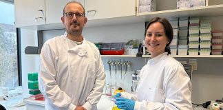 Vitamin B2 Metabolism as a Protective Mechanism in Cancer: Unveiling a Double-Edged Role in Ferroptosis Resistance
