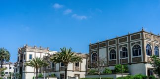 microRNA-25 Drives Immune Checkpoint Therapy Resistance by Repressing Innate and Humoral Immunity via Syndecan-3: Insights from UC San Diego Research